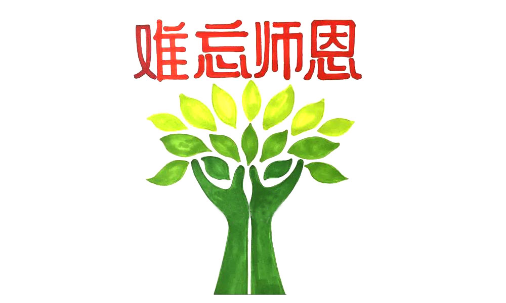 步骤3：然后，从中间开始，依次画出的叶子。