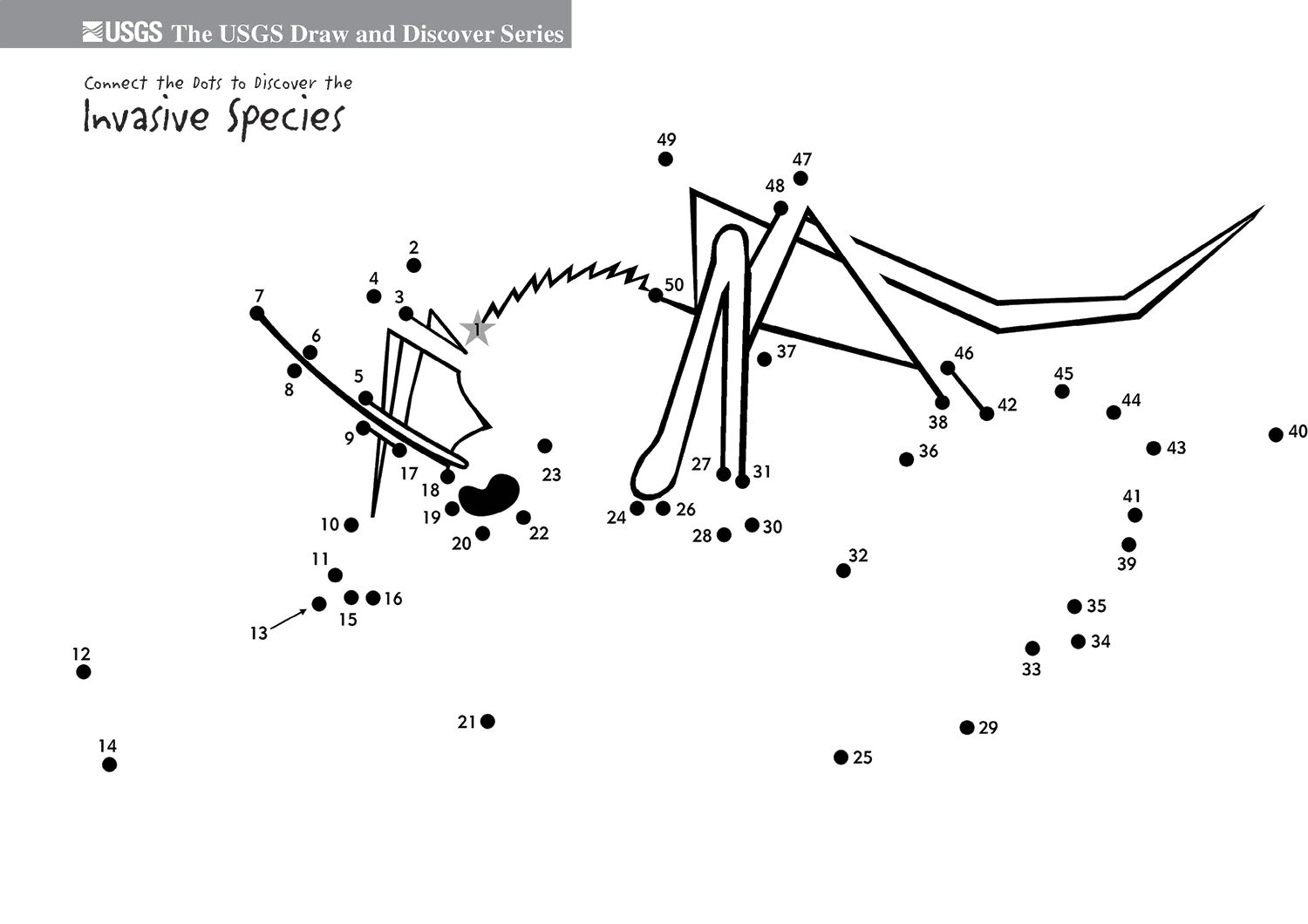 亚洲虎蚊子连线画图片