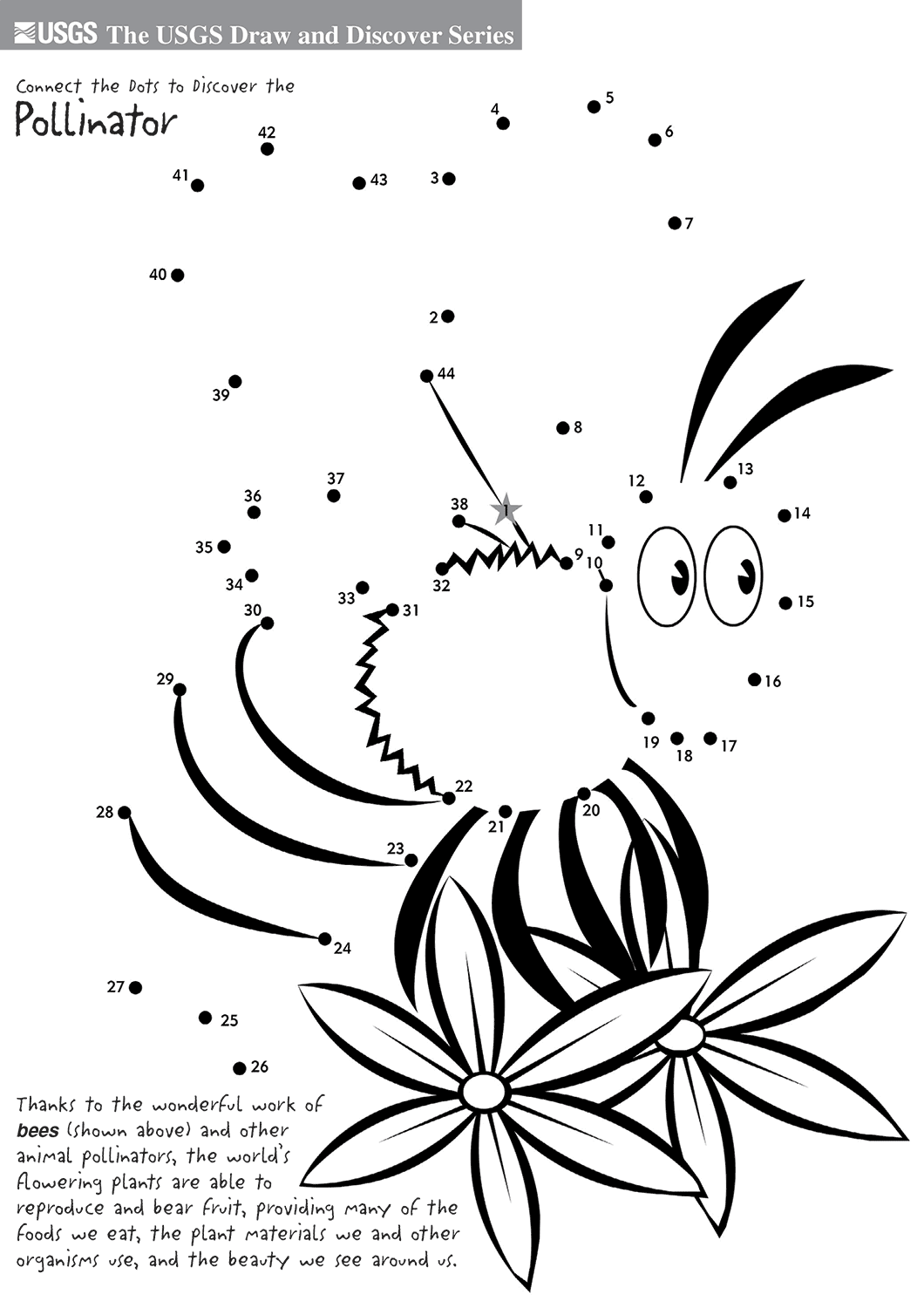 勤劳的蜜蜂连线画