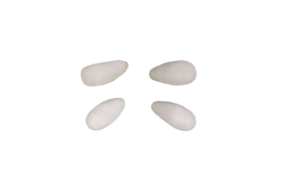 步骤1：搓四个白色圆柱，把一头捏昔，作为叶柄。