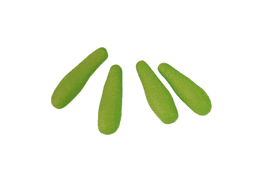 步骤1：搓四个浅绿色长条，一端稍细，作为叶柄。