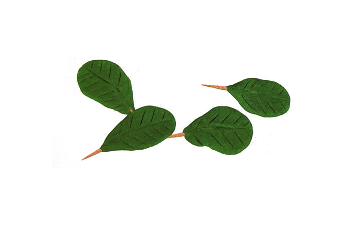 步骤3：捏四片绿色叶子，插上牙签，并划出叶脉。