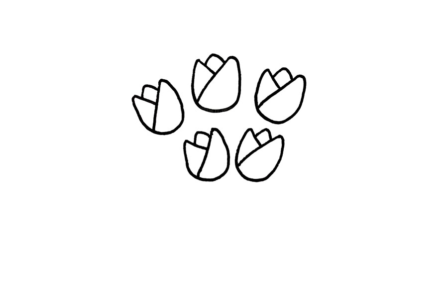 步骤4：然后，用相同的方法画出更多的花头，注意角度的变化，让它们看起来像一捧花束。