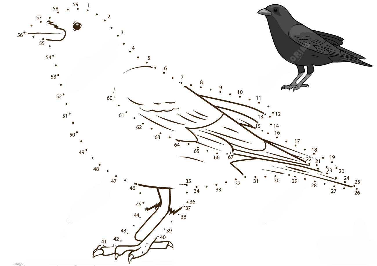 乌鸦连线画图片素材