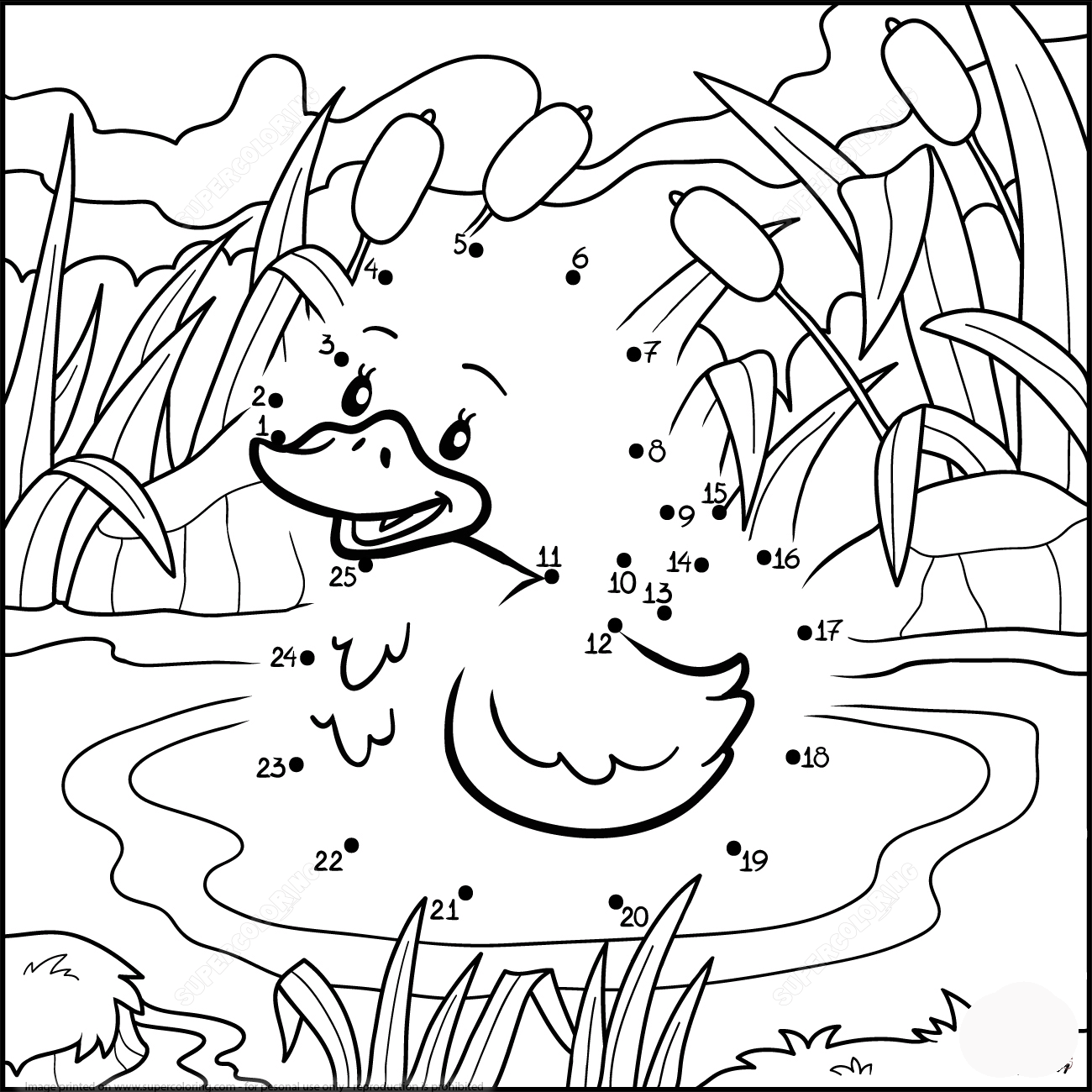 鸭子洗澡连线画图片素材