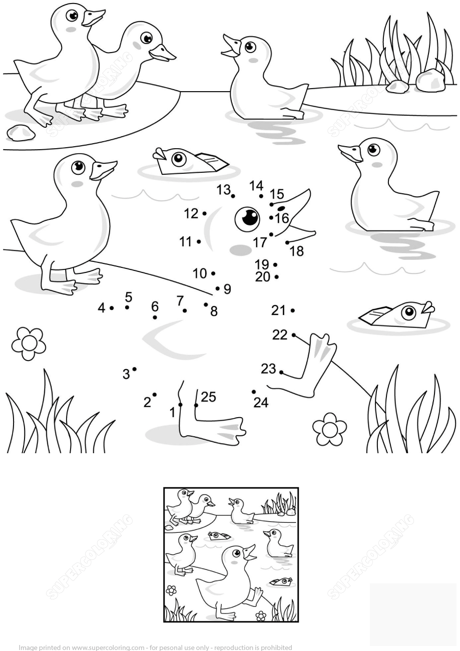 小鸭和鱼连线画图片素材