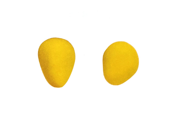 步骤4：搓两个黄色椭圆并压扁，捏成翅膀。