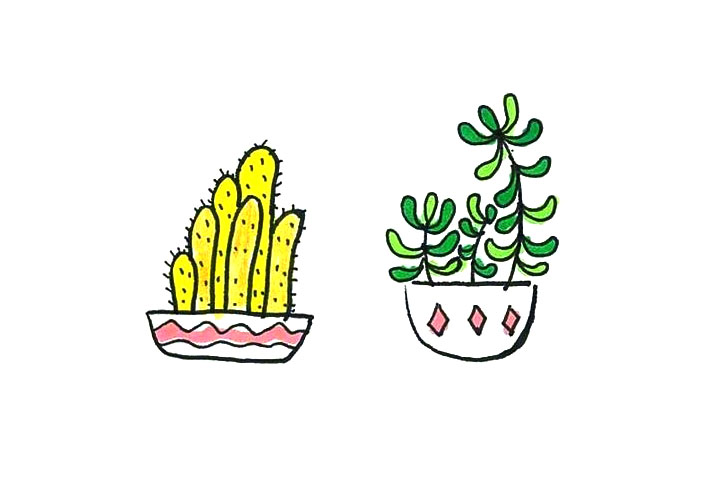 漂亮的小盆栽简笔画图片1-图9