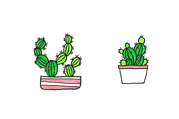 漂亮的小盆栽简笔画图片2-图8