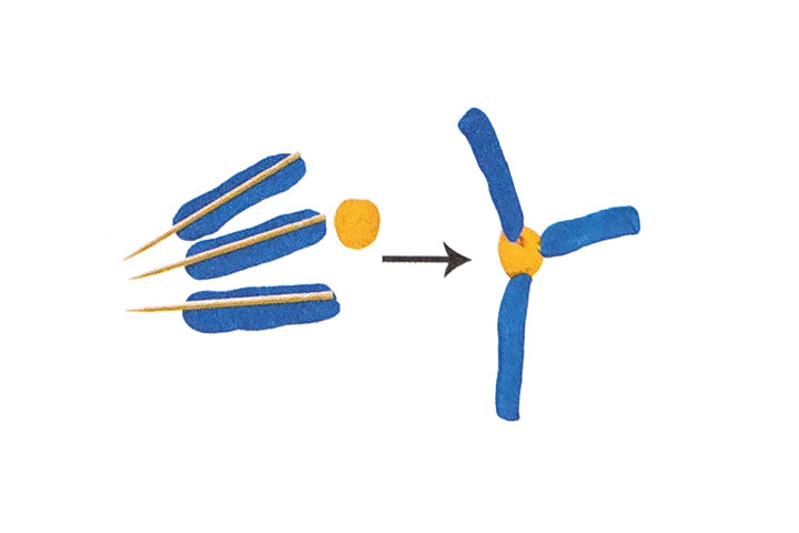 步骤5：用蓝泥和黄泥捏出长条和圆球，用牙签固定在一起，作为螺旋桨。