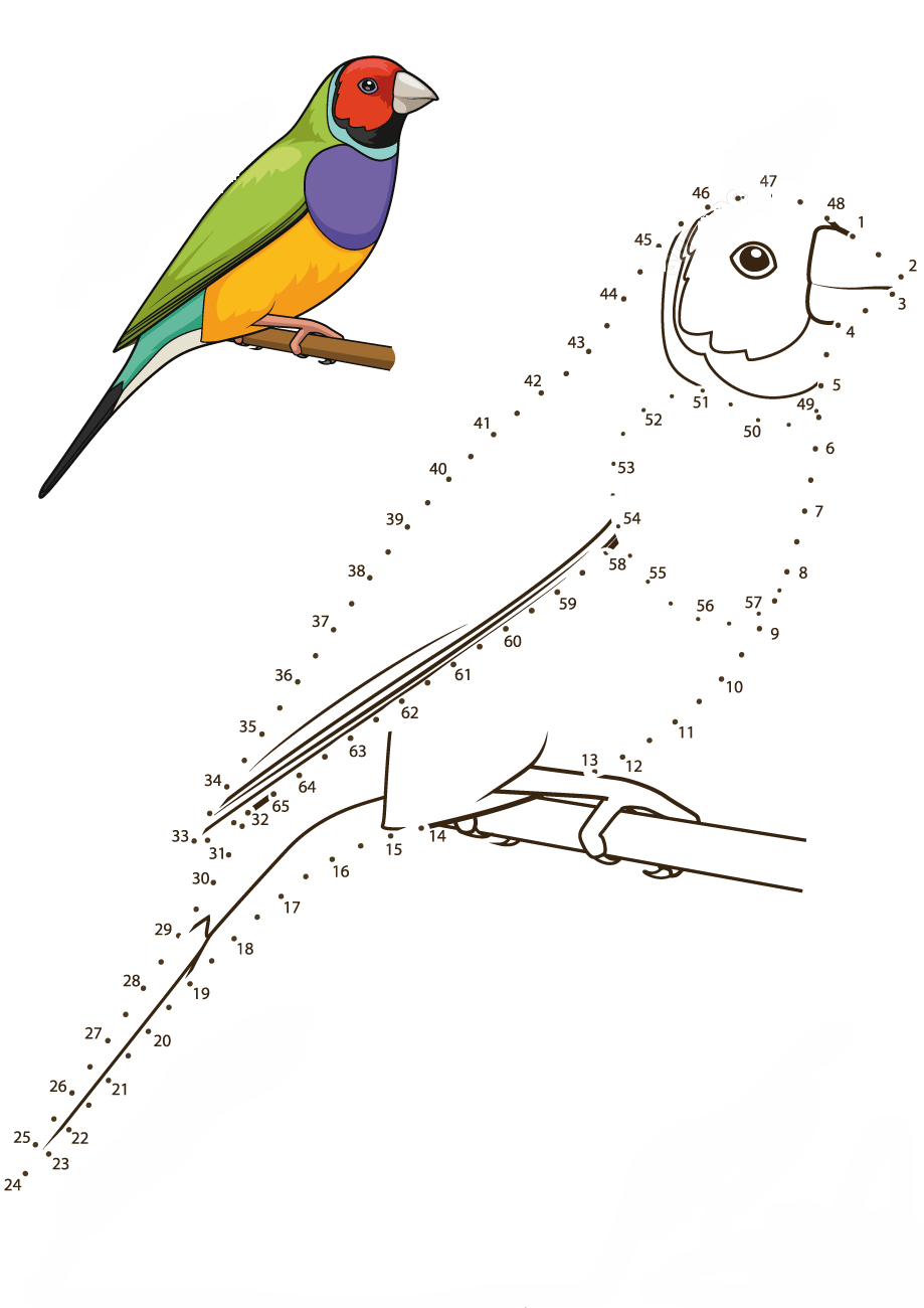 七彩文鸟连线画图片素材