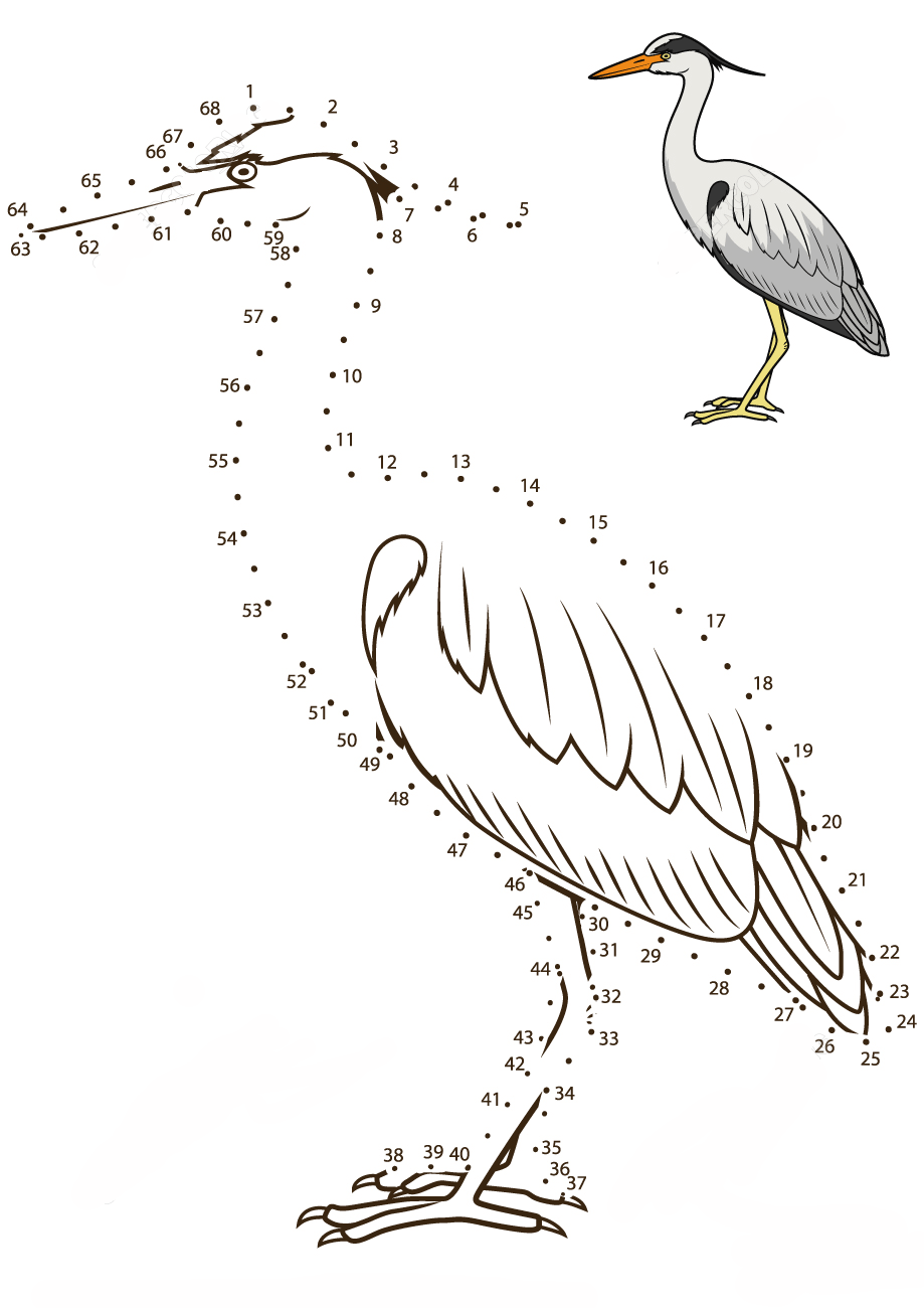 白鹭连线画图片素材