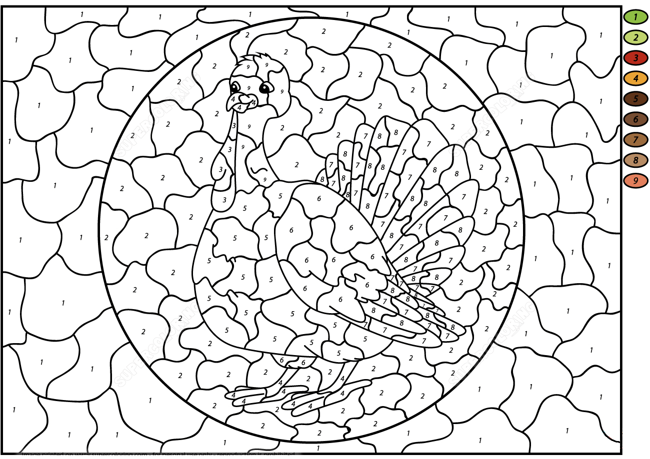 动物火鸡涂色画素材