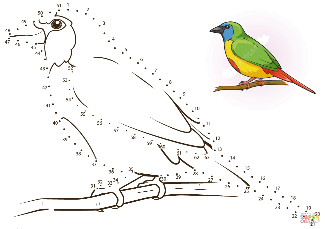 长尾鹦雀连线画图片素材