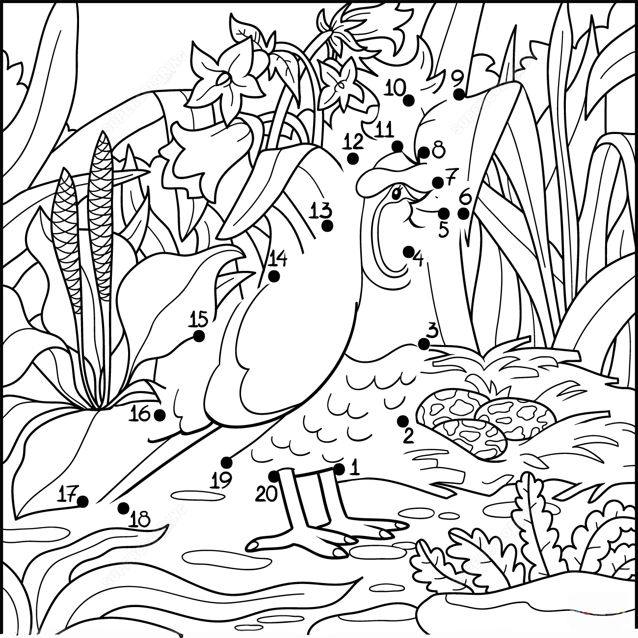 鹌鹑连线画图片素材