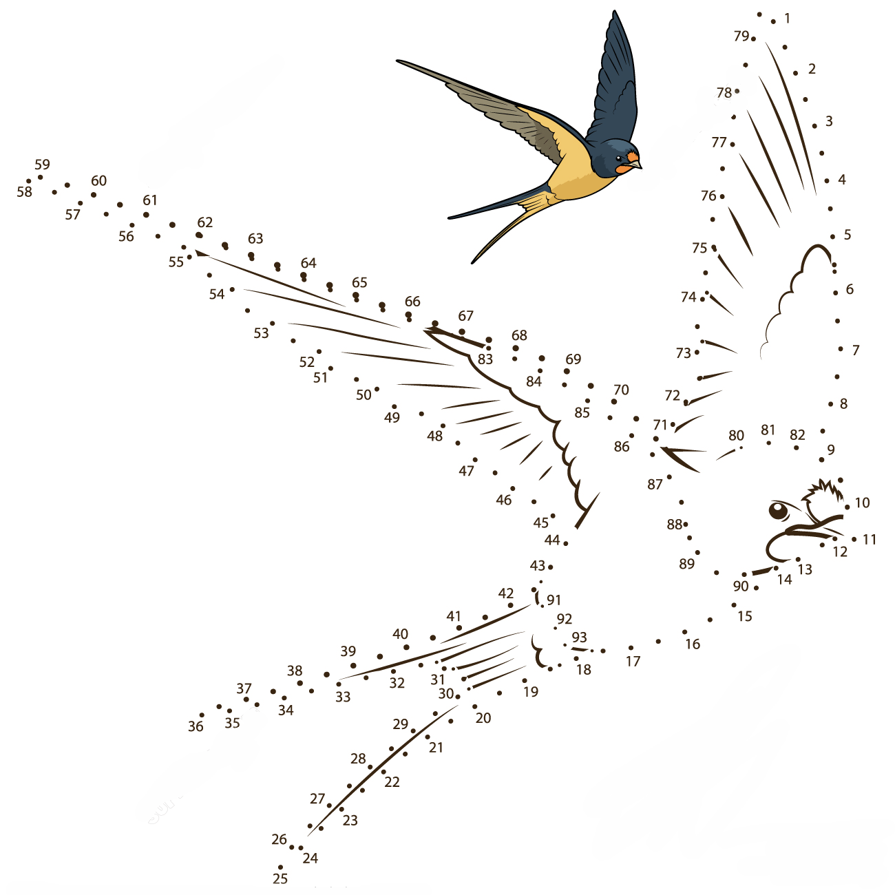 燕子连线画图片素材