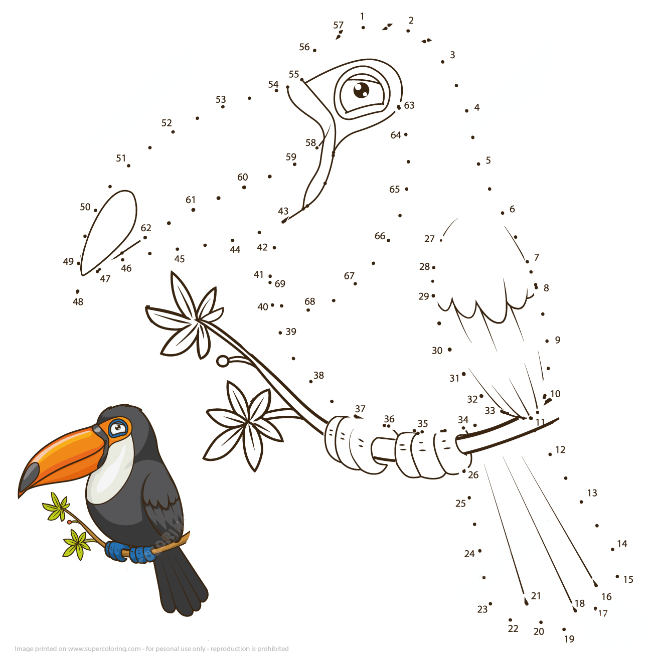 巨嘴鸟连线画图片素材