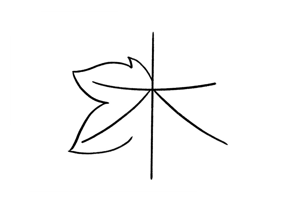 步骤3：接着，将叶片左侧的轮廓画完成。