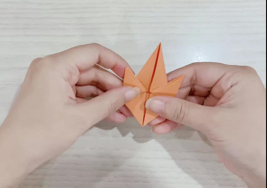 步骤6：折出的形状向上折。