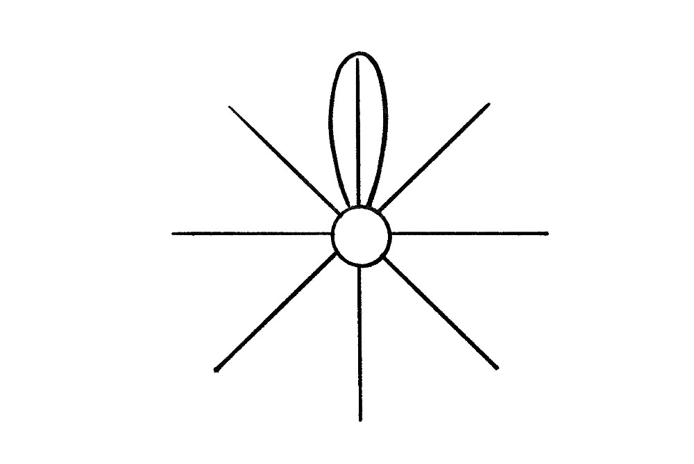 步骤4：然后，我们以这个米字为参照，画出菊花瘦长的花瓣。