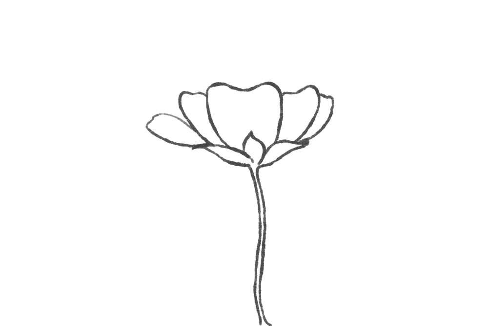 小花仙简笔画画法步骤-图4