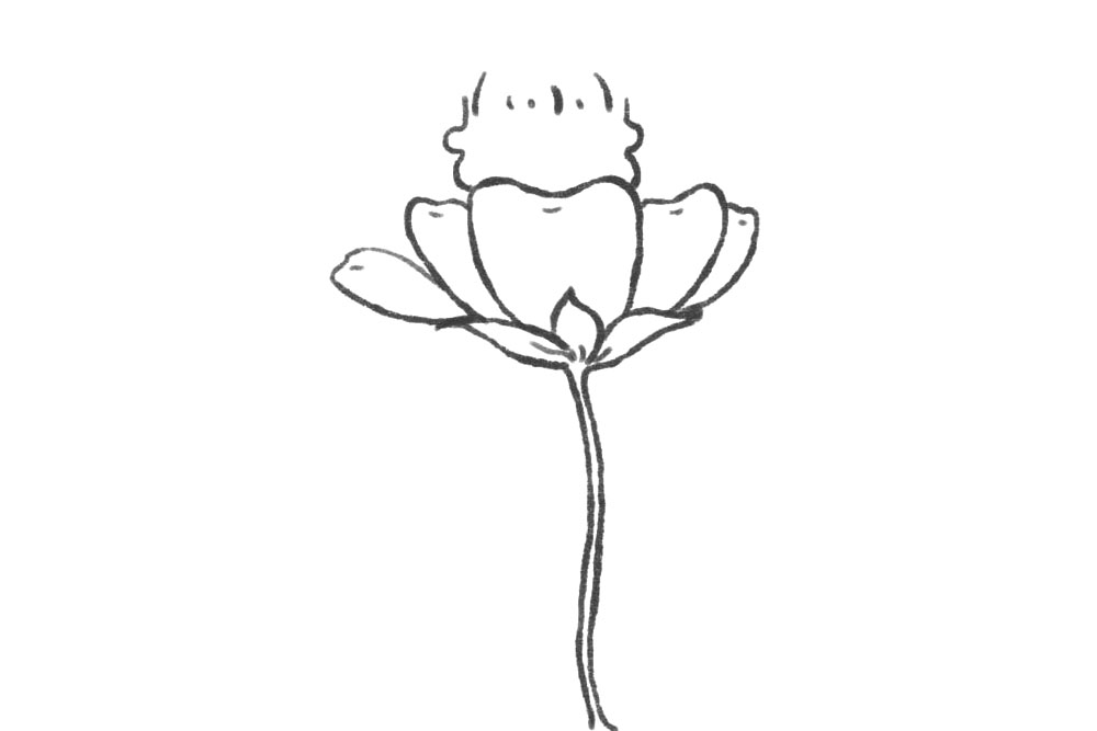 小花仙简笔画画法步骤-图5