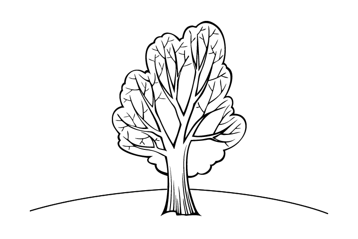 12张简单好画的树木简笔画-图3