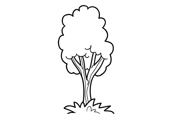 12张简单好画的树木简笔画-图5