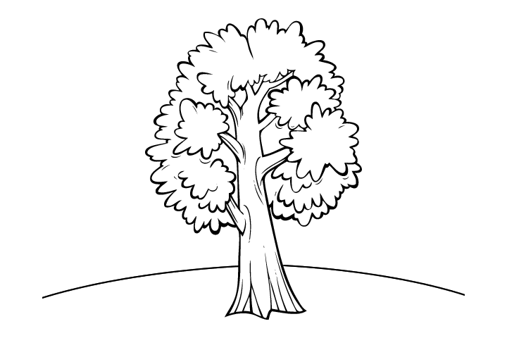 12张简单好画的树木简笔画-图8