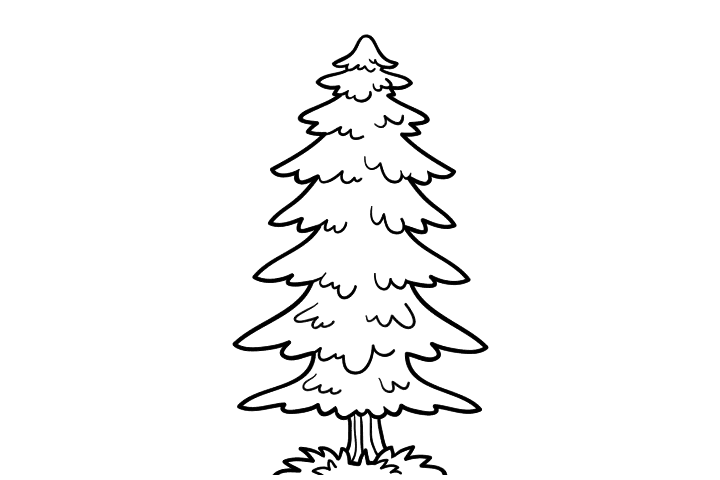 12张简单好画的树木简笔画-图11