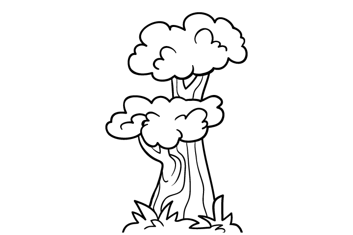 各种树木的画法-图5