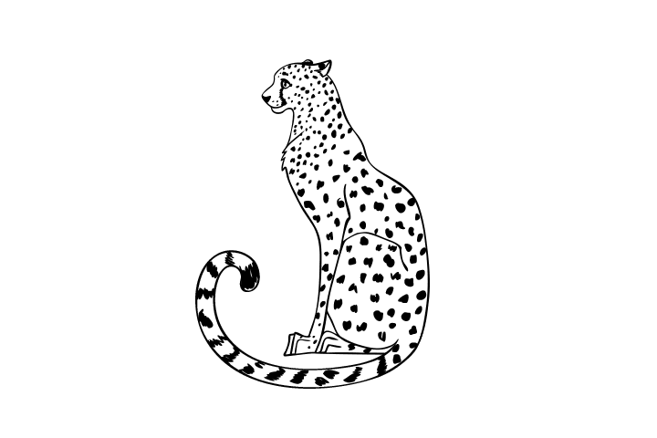 可爱的小花豹简笔画图片-图6