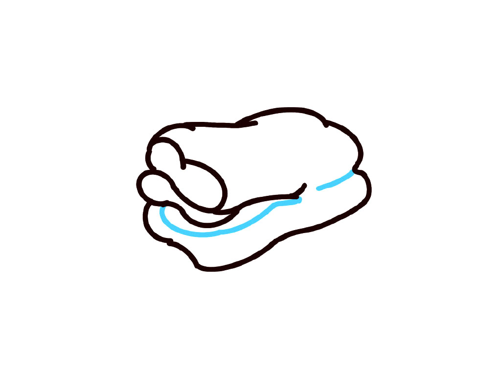 步骤5：继续画弧线。