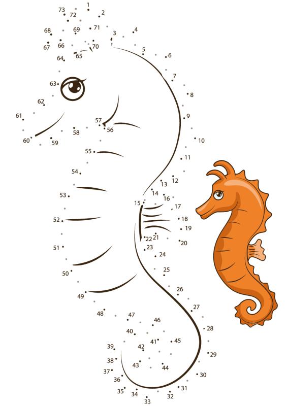 海马连线画图片素材