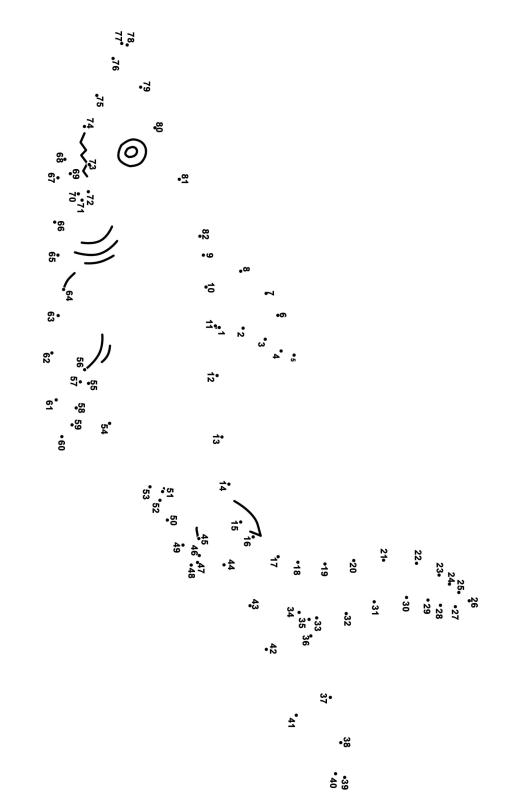 鲨鱼连线画图片素材