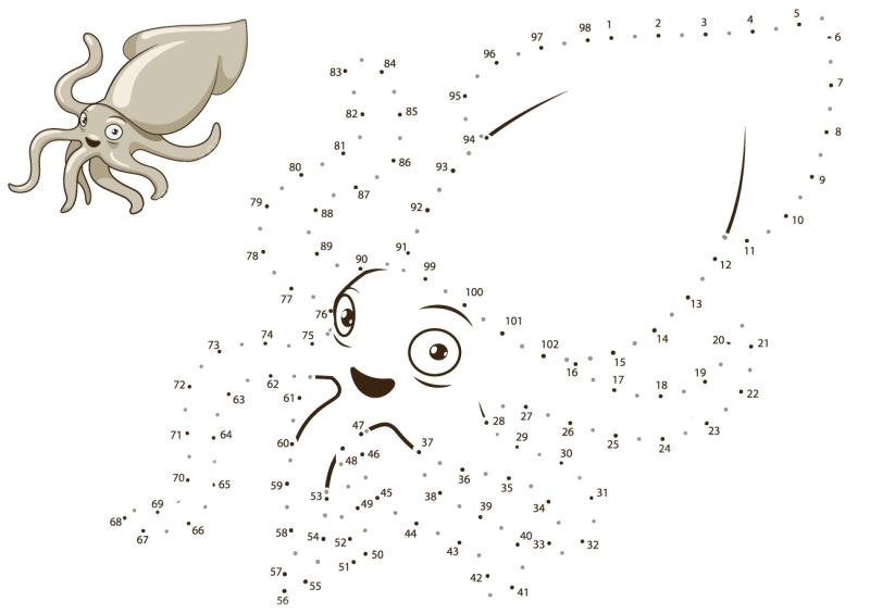 鱿鱼连线画图片素材