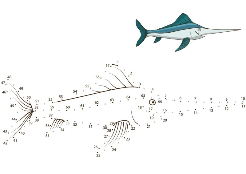 箭鱼连线画图片素材