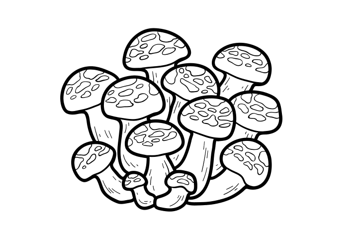 各种野生菌的画法-图2