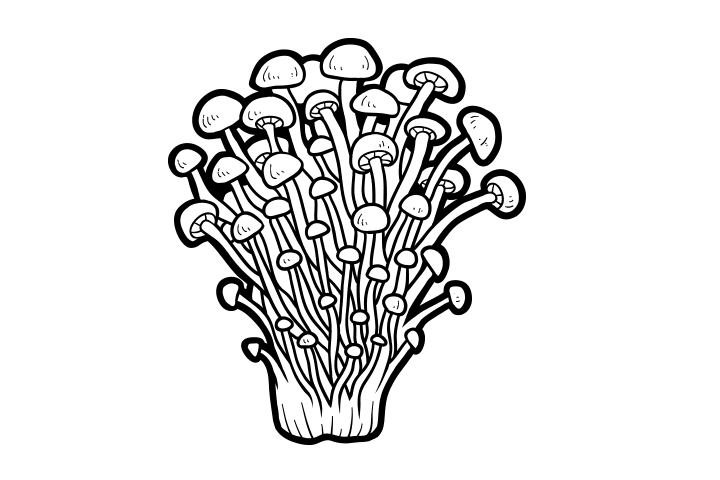 各种野生菌的画法-图5