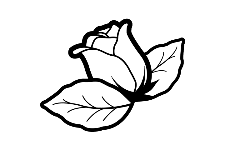 各种漂亮的花朵简笔画-图5