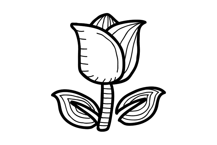 各种漂亮的花朵简笔画-图7