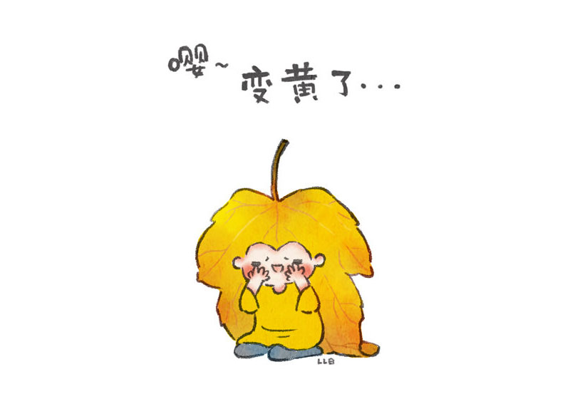 一组漂亮的小叶子表情简笔画图片-图6