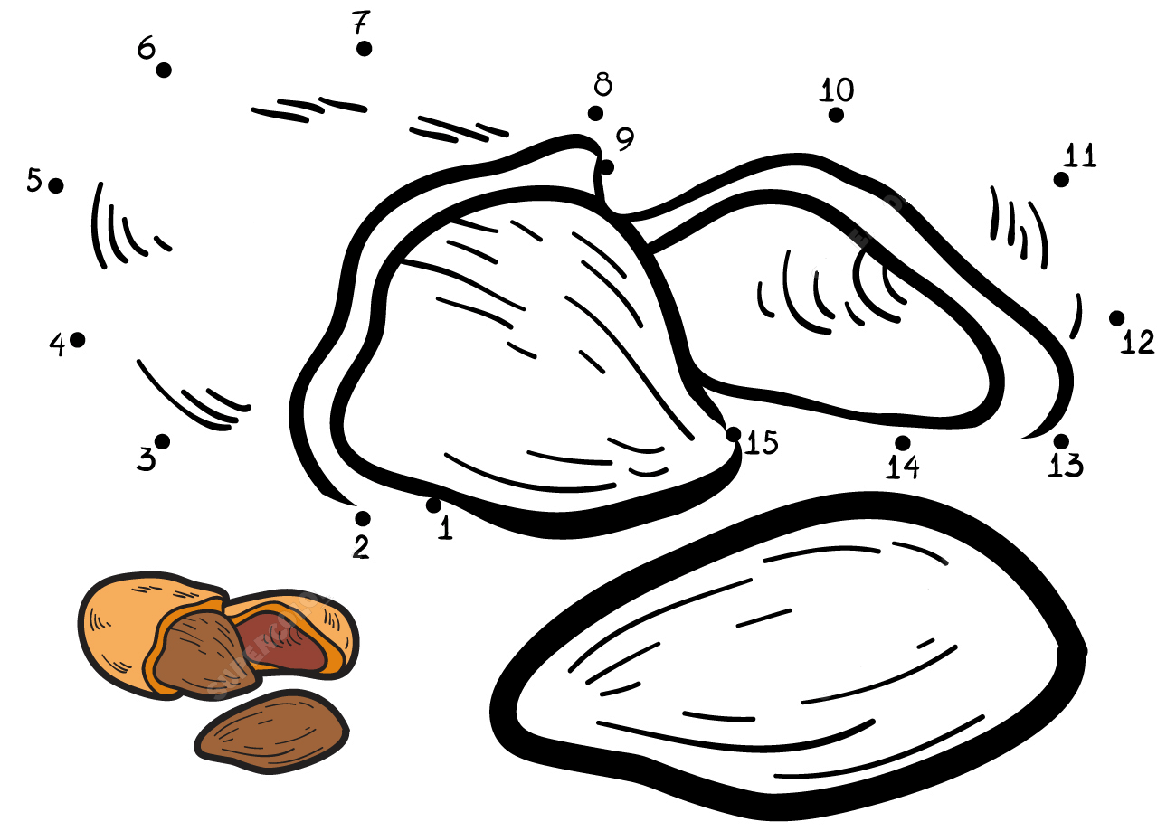 杏仁连线画图片素材