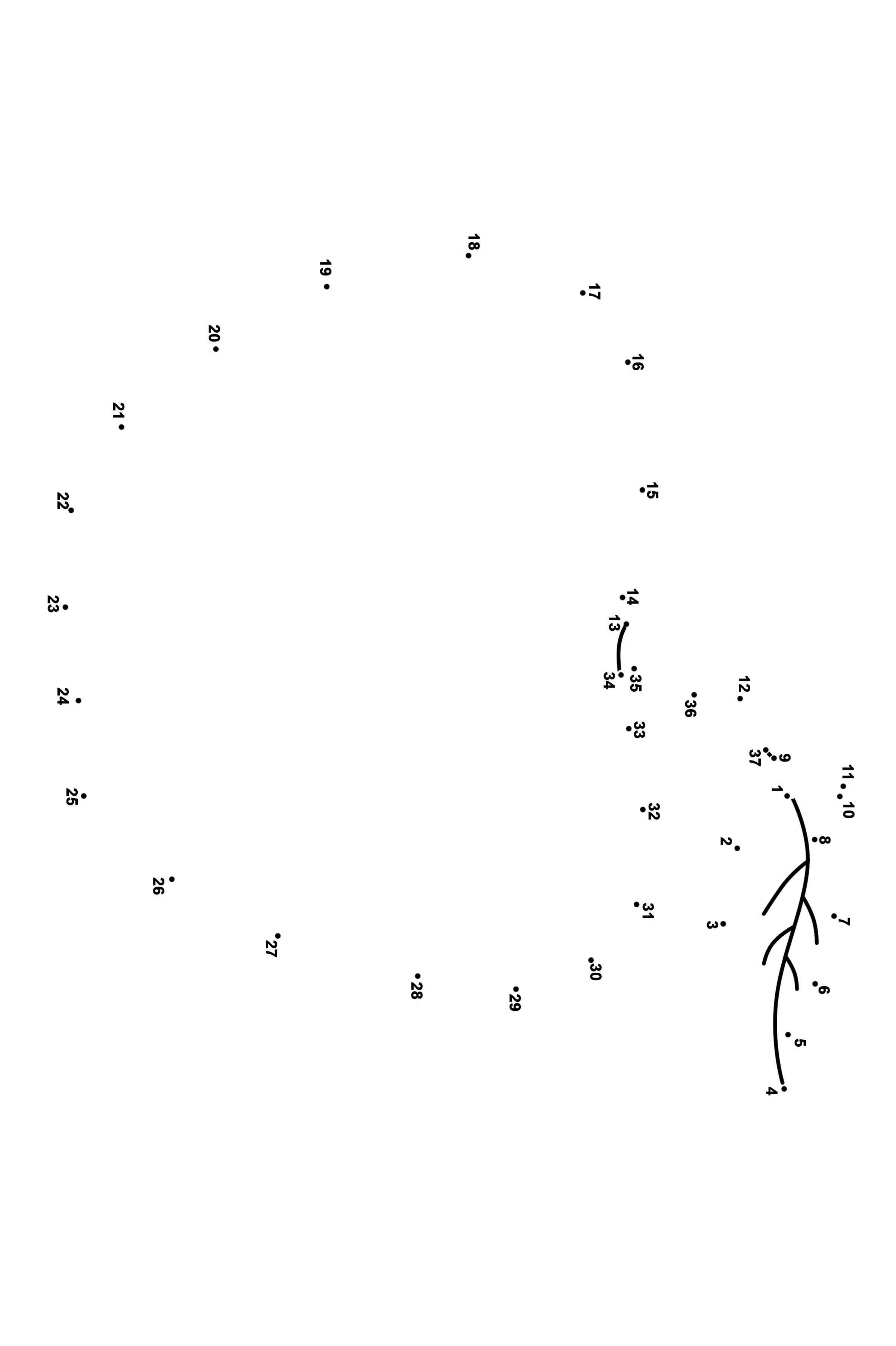 苹果连线画图片素材