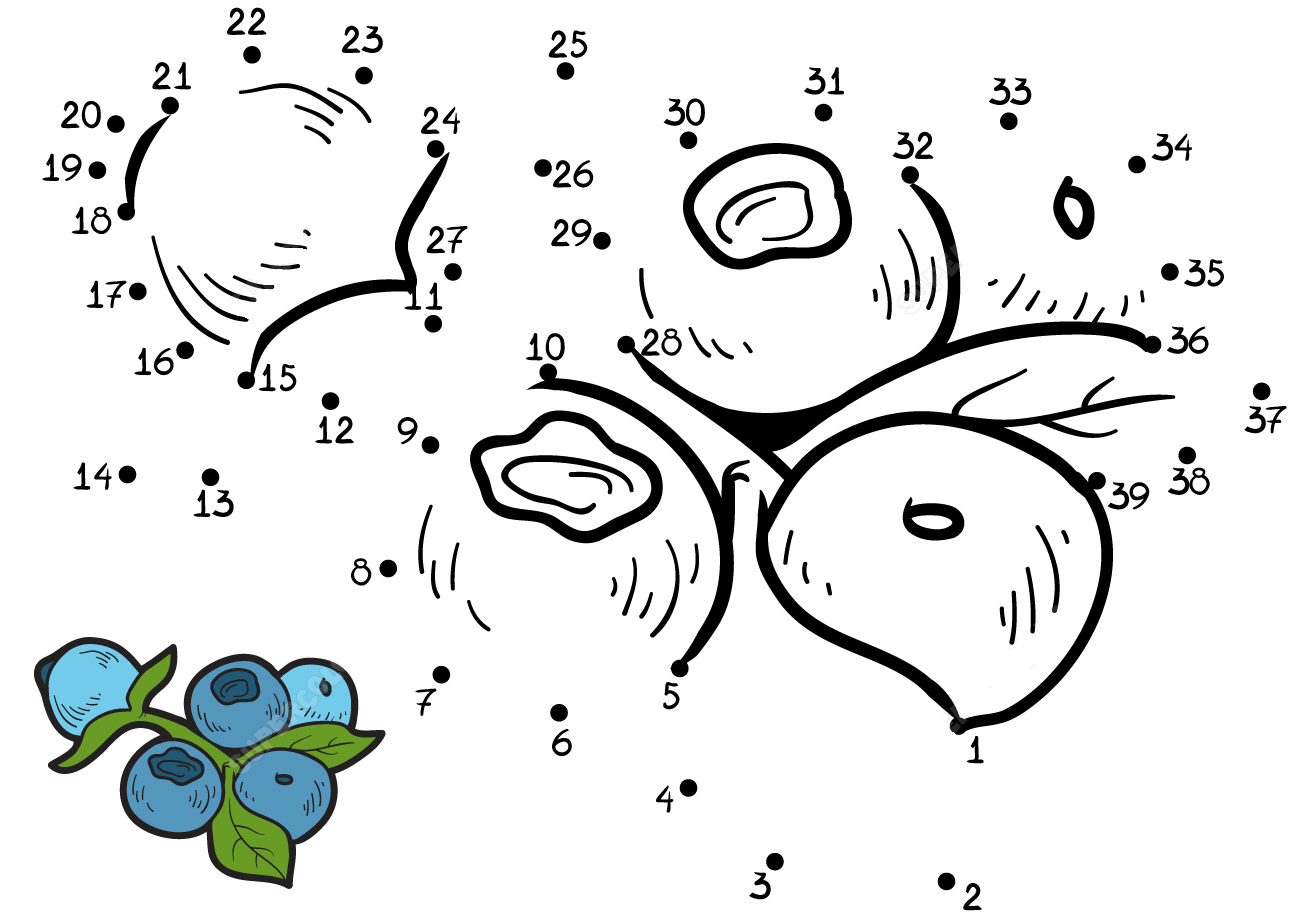 蓝莓连线画图片素材