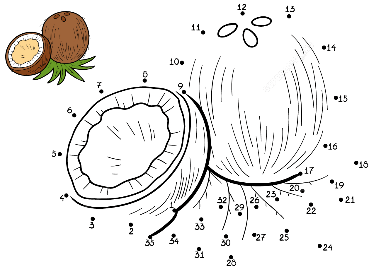 椰子连线画图片素材