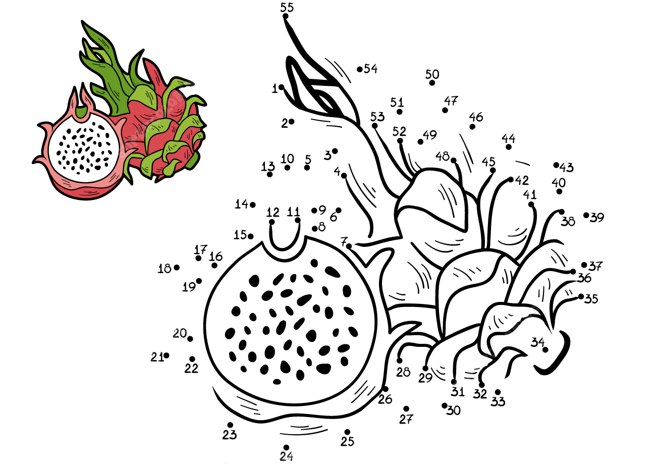 火龙果连线画图片素材