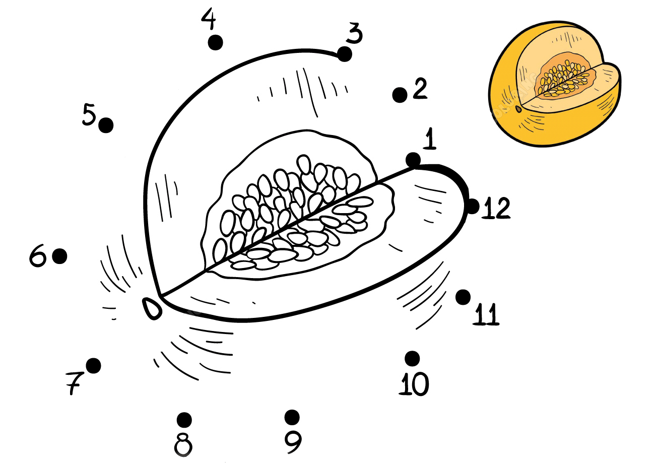 白兰瓜连线画图片素材