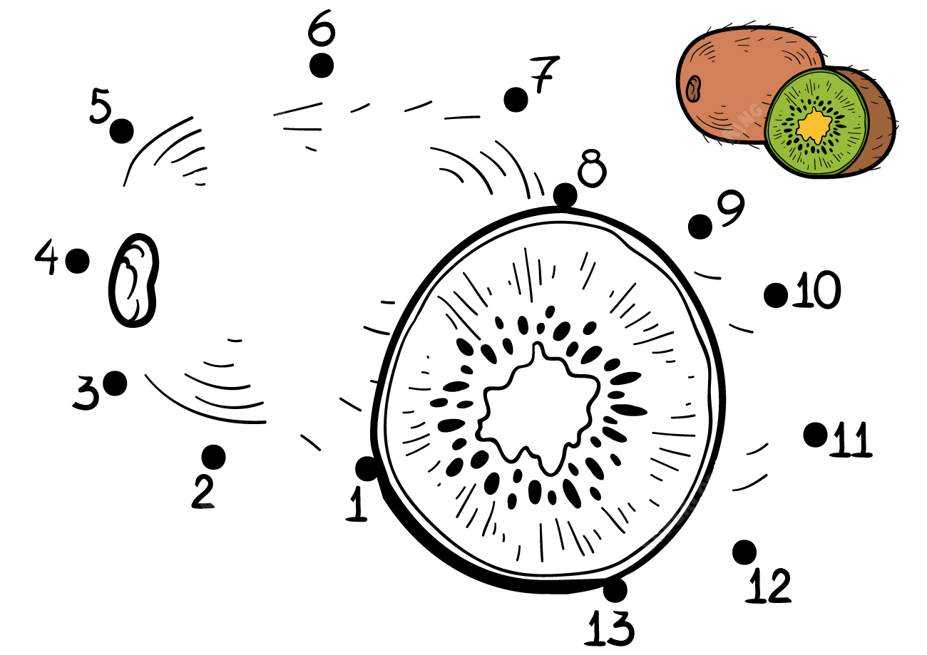 猕猴桃连线画图片素材