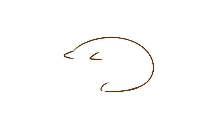 发现玩具的小猫简笔画画法-图1